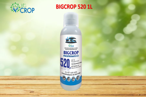 Big Crop - Thông báo thay đổi mẫu sản phẩm Bigcrop 520 1L