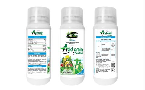 Acid Amin Trùn quế - 500ml -100ml