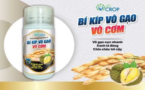 Bí kíp Vô gạo vô cơm - 320 ml