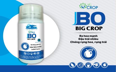 Bo Big Crop - 320ml