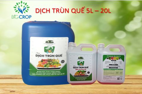 Big Crop - Thông báo thay đổi mẫu sản phẩm Dịch Trùn Quế 5L - 20L