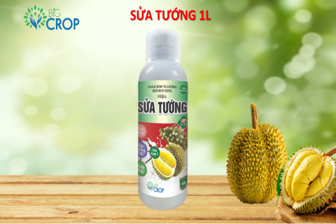 Big Crop - Thông báo thay đổi mẫu sản phẩm Sửa Tướng 1L