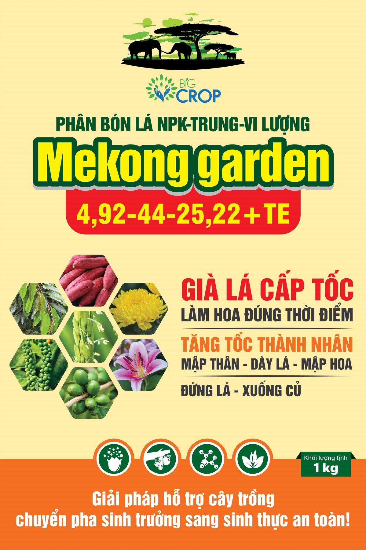 CÂY CÀ PHÊ CÓ CẦN MEKONG GARDEN KHÔNG? DÙNG VÀO THỜI ĐIỂM NÀO LÀ THÍCH HỢP NHẤT?